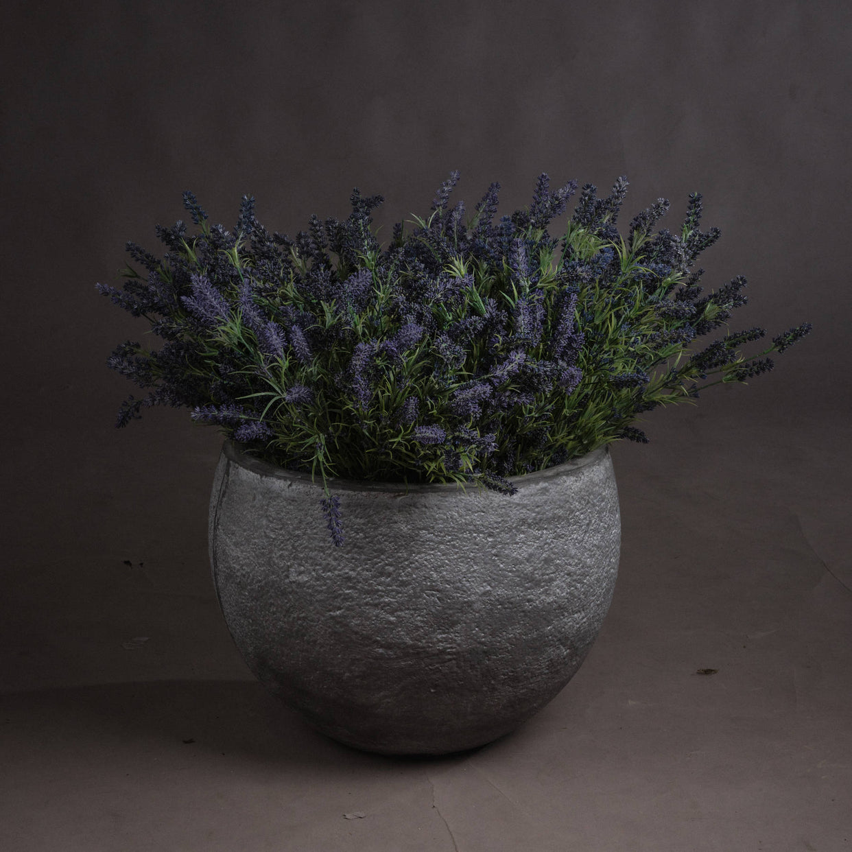 Large Lavender Bush - Blue For Hill Interiors - HIL-11521