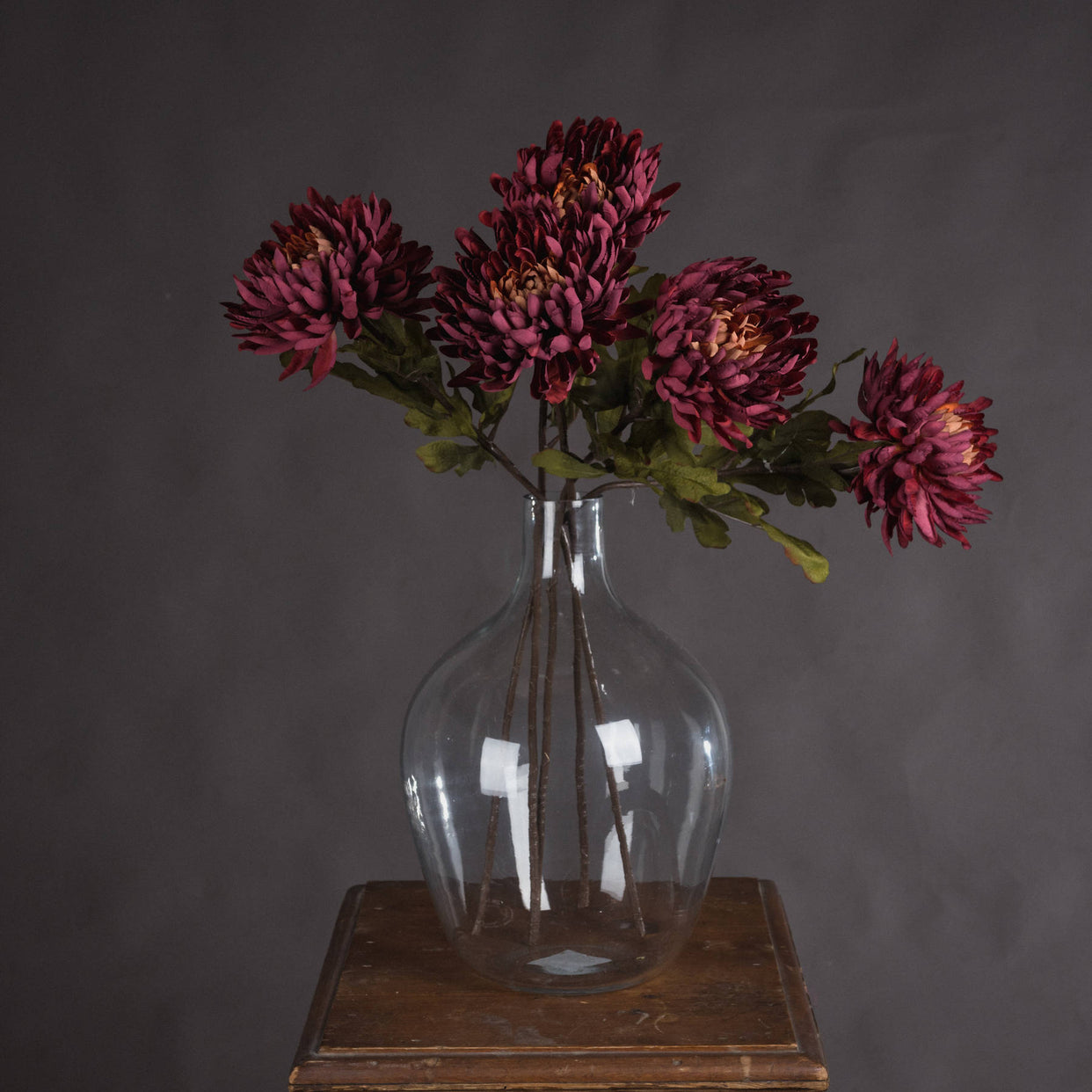 Flower Autumn Spider Chrysanthemum For Hill Interiors - HIL-18924