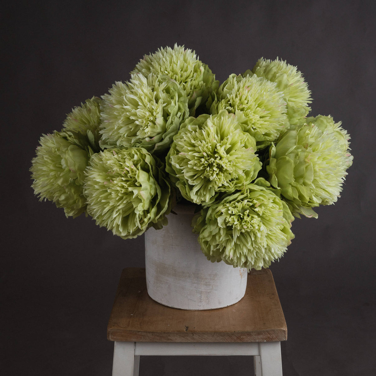 Single Short Stem Garden Peony - Green For Hill Interiors - HIL-18937