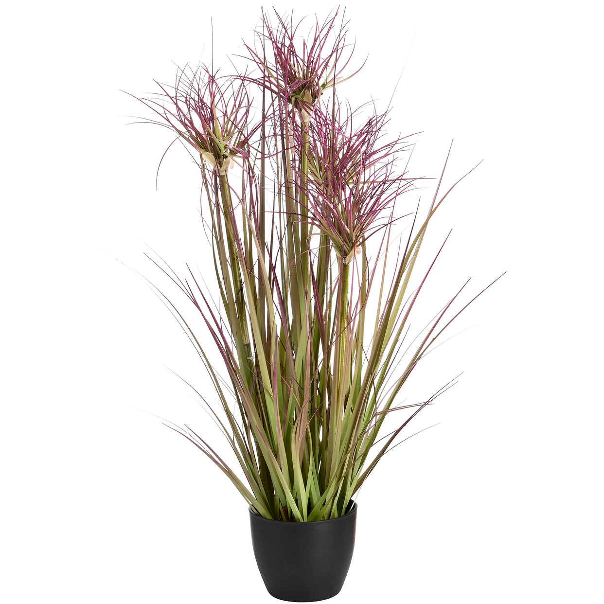 Water Bamboo Grass Plant 24 Inch For Hill Interiors - HIL-18985