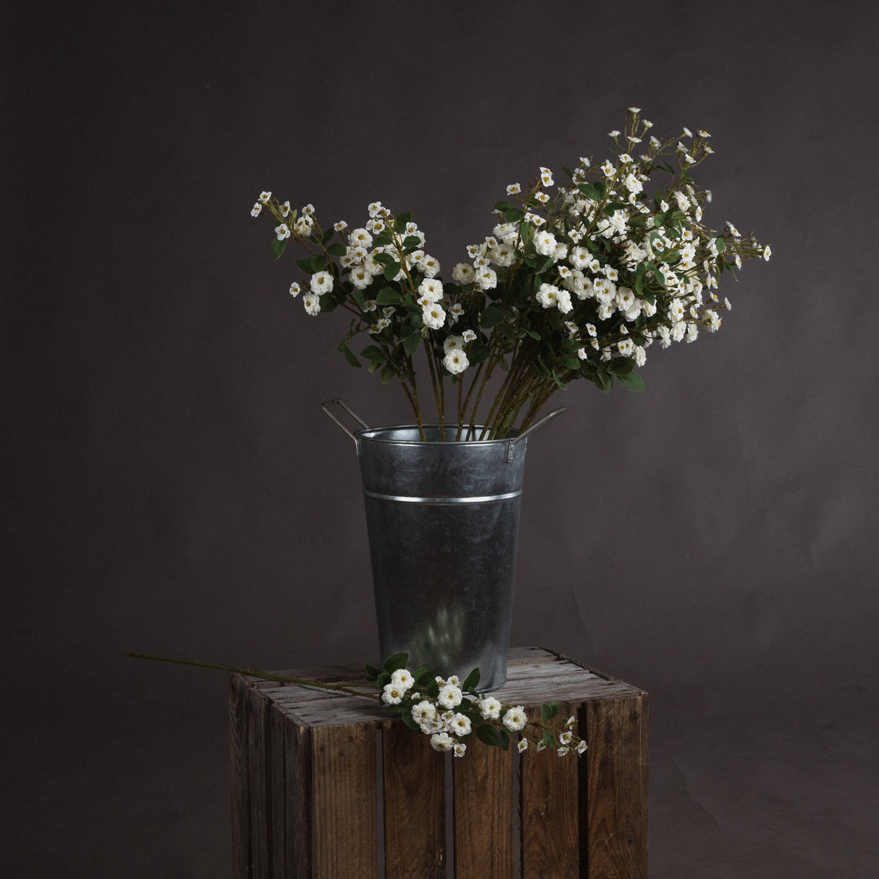 Wild Meadow Rose - White For Hill Interiors - HIL-19046