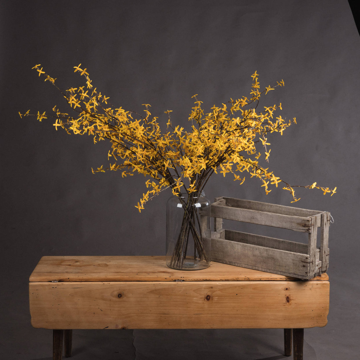 Forsythia Branch - Yellow For Hill Interiors - HIL-19057