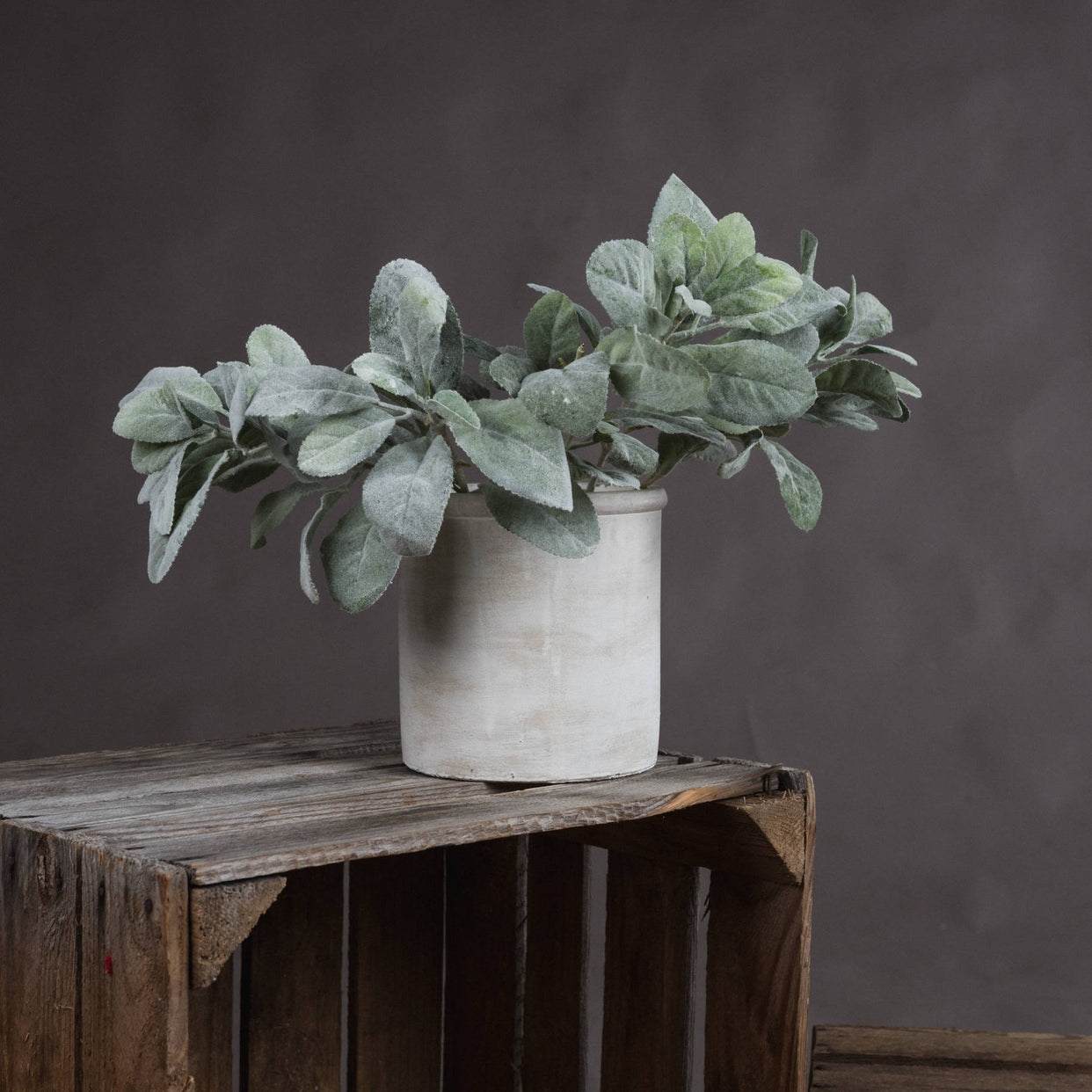 Green Textured Lambs Ear Spray For Hill Interiors - HIL-19564