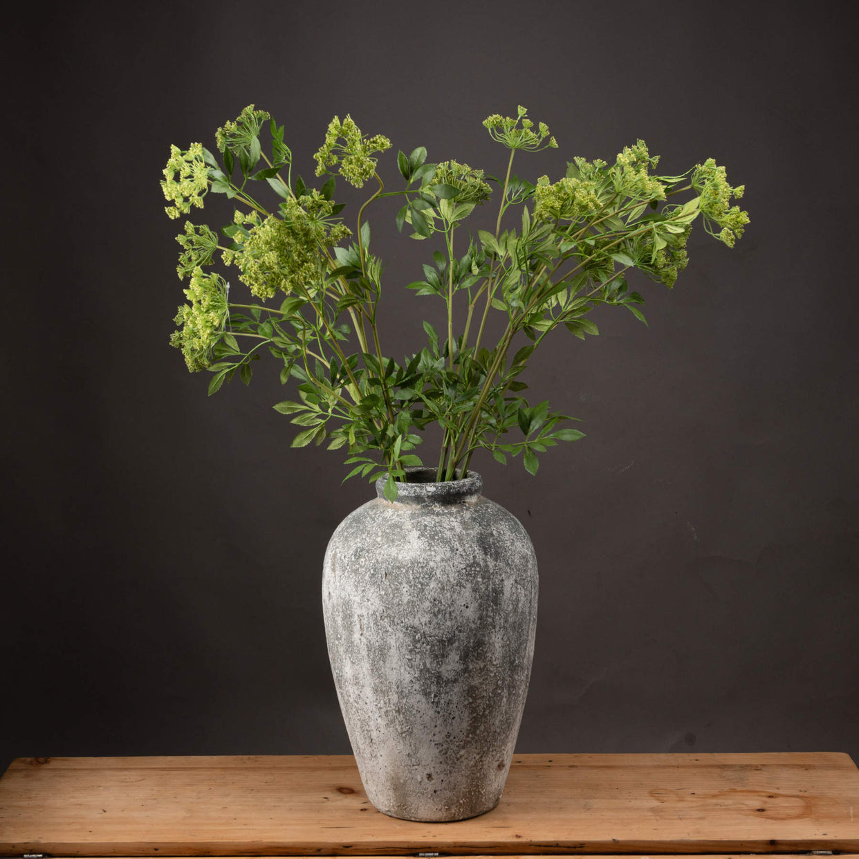 Faux Cow Parsley Ammi - Green For Hill Interiors - HIL-19953