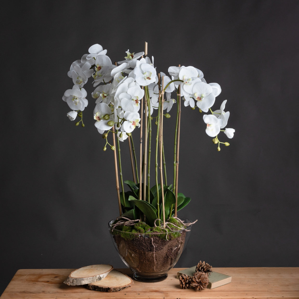 Large Orchid In Glass Pot - White For Hill Interiors - HIL-19959