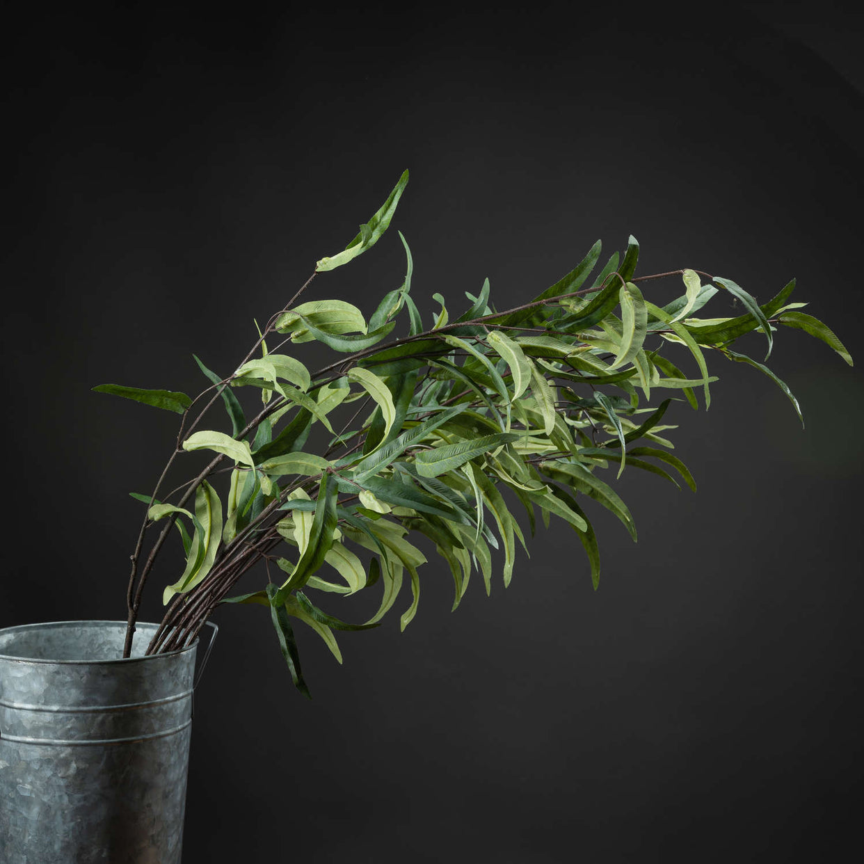 Eucalyptus Nicholii Plastic Leaf Spray For Hill Interiors - HIL-20107