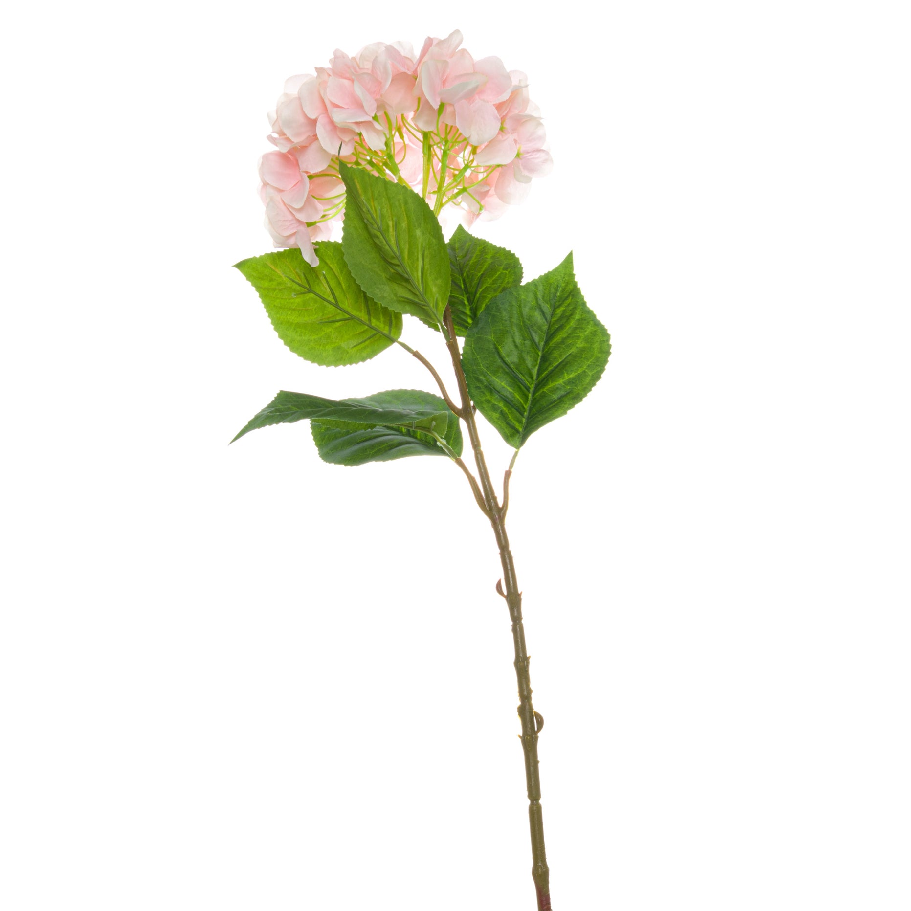Single Stem Flowers Hydrangea - Pink For Hill Interiors - HIL-20532