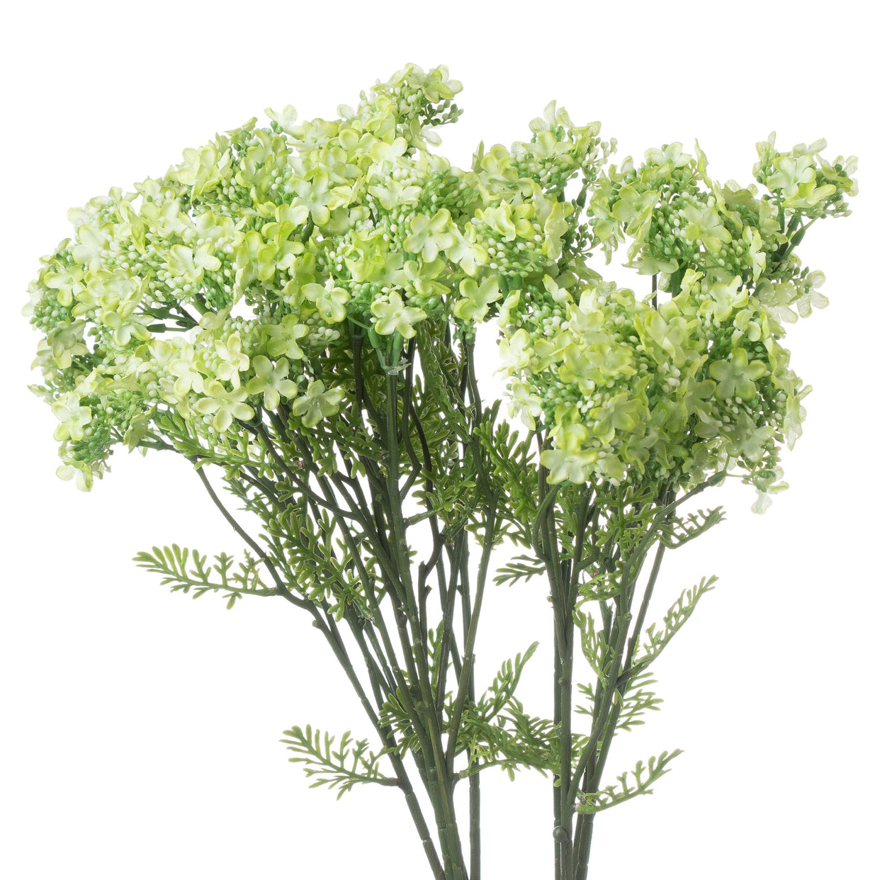 Plumb Blossom Spray White Green For Hill Interiors - HIL-20912