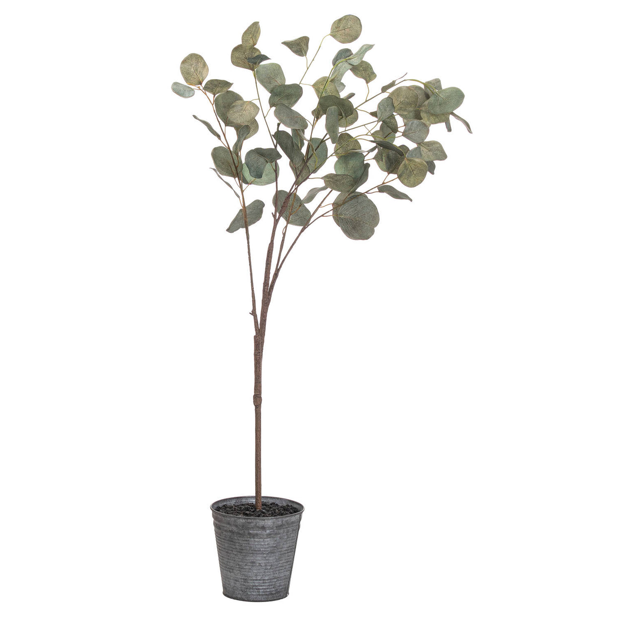 Eucalyptus Plastic Tree Metallic Pot - Green For Hill Interiors - HIL-21025