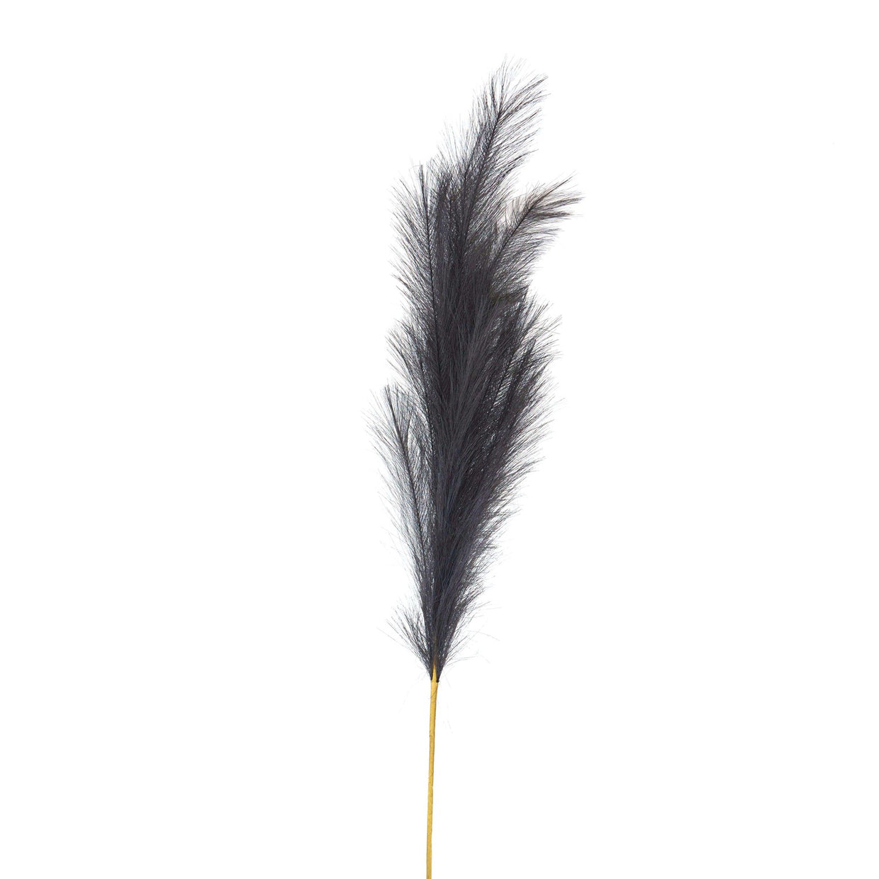 Large Faux Pampas Grass Stem - Grey For Hill Interiors - HIL-22104