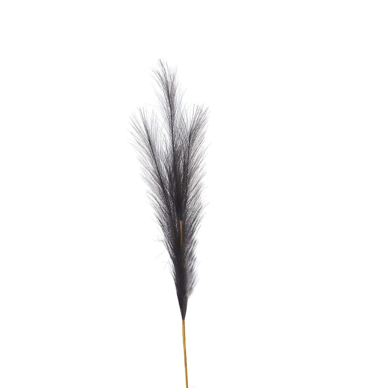 Faux Pampas Grass Stem - Grey For Hill Interiors - HIL-22105