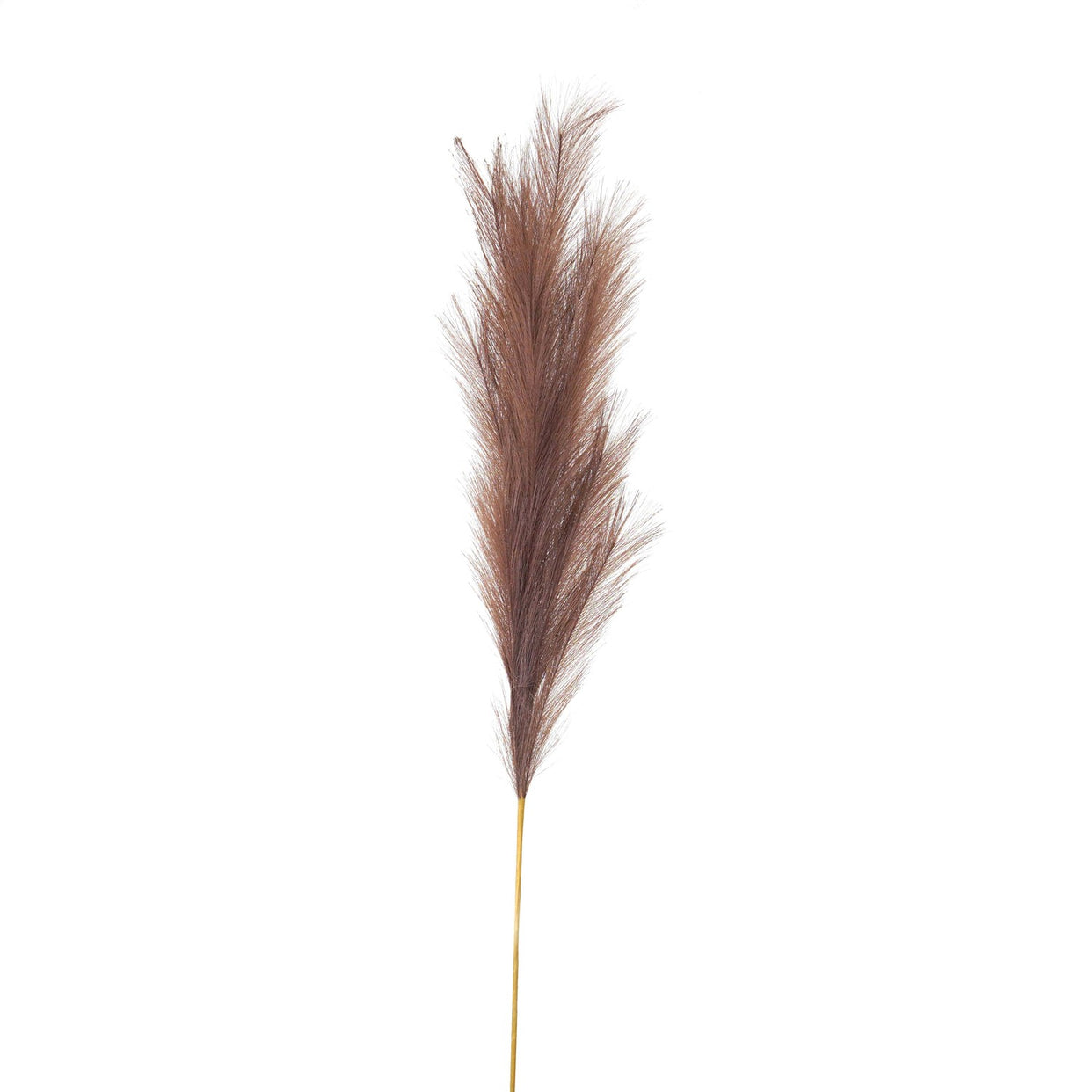 Large Faux Pampas Grass Stem - Taupe For Hill Interiors - HIL-22108