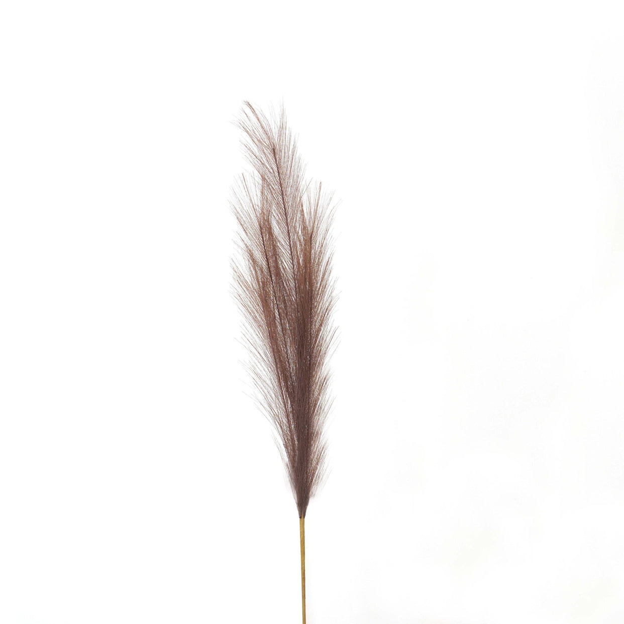 Faux Pampas Grass Stem - Taupe For Hill Interiors - HIL-22109