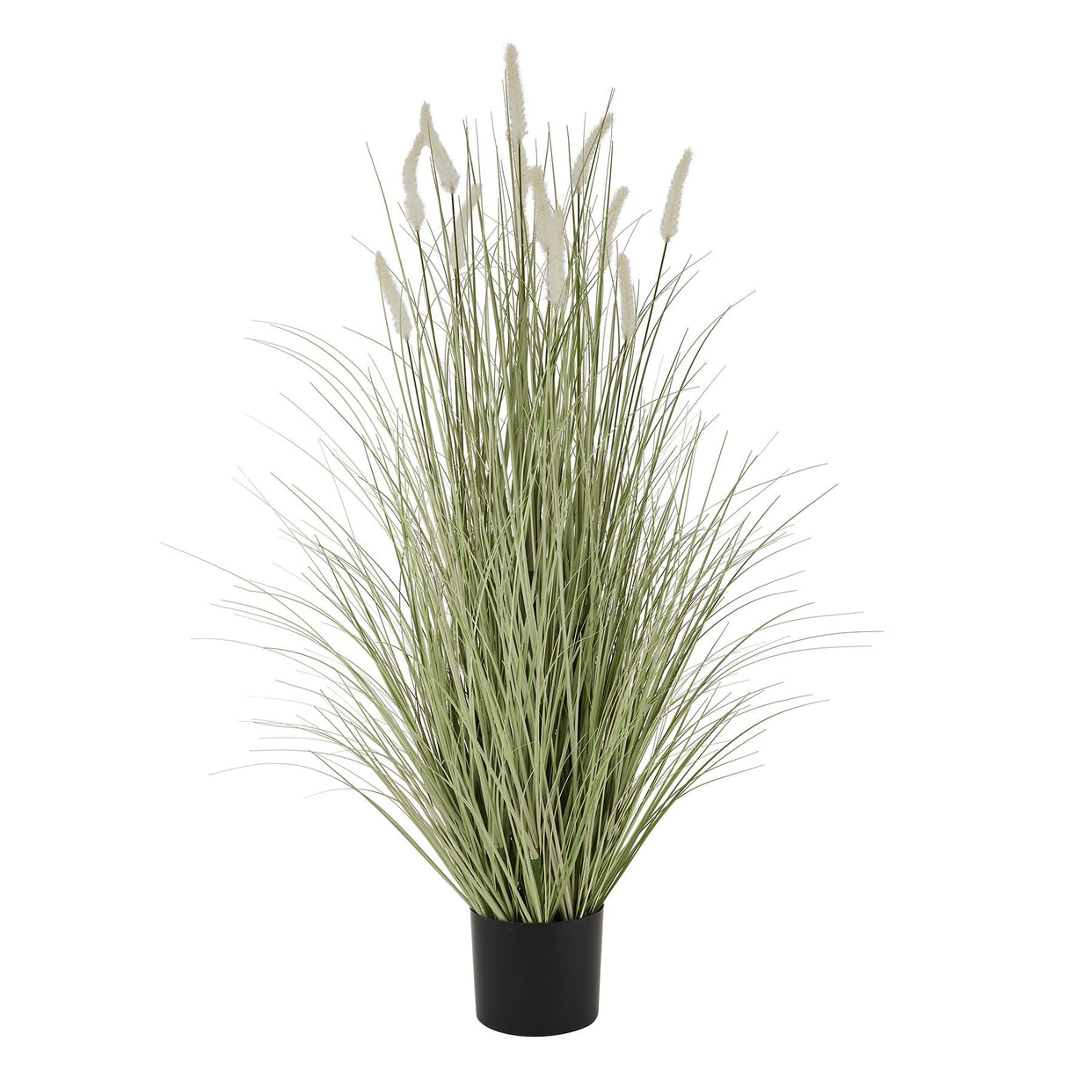 Large Bunny Tail Grass - Green For Hill Interiors - HIL-22617