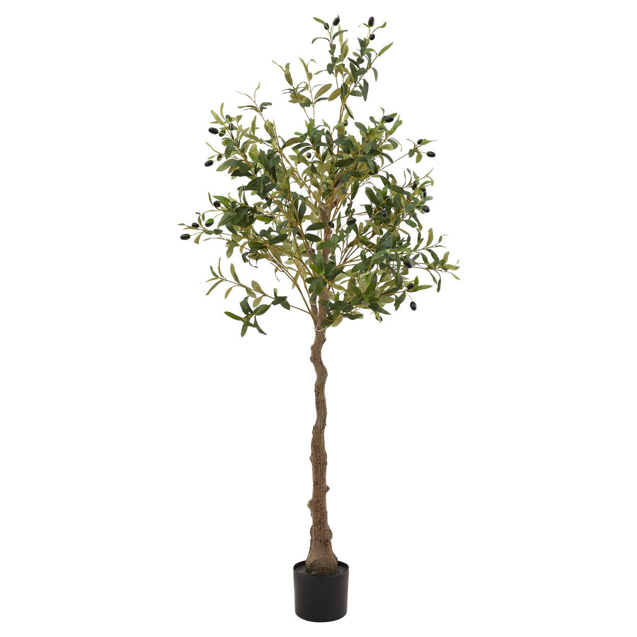 Calabria Plastic Tree - Olive For Hill Interiors - HIL-23079