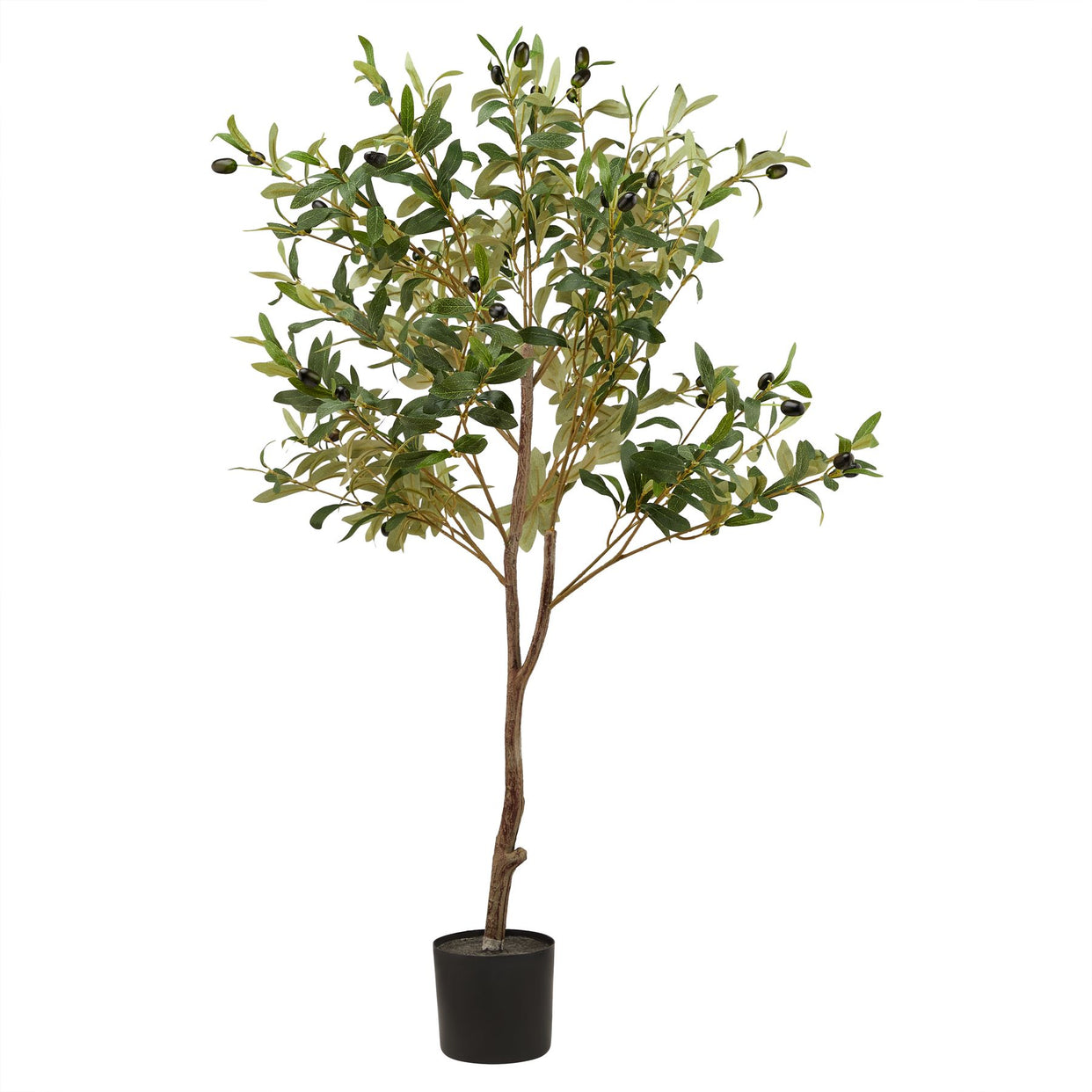 Calabria Small Plasti Tree - Olive For Hill Interiors - HIL-23080