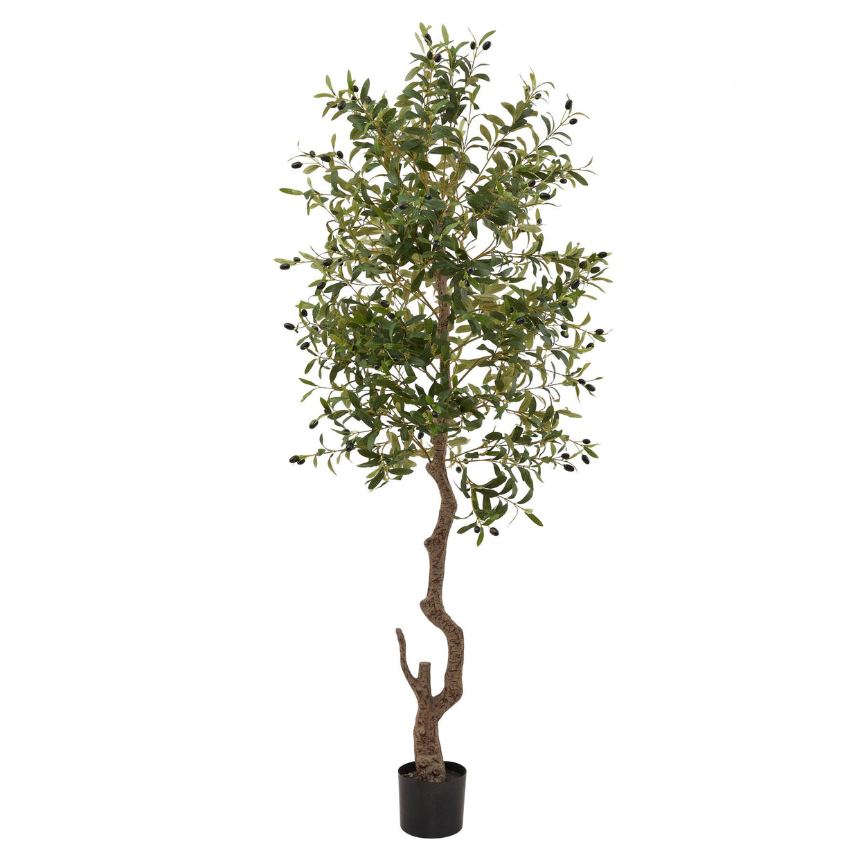 Calabria Large Plastic Tree - Olive For Hill Interiors - HIL-23081