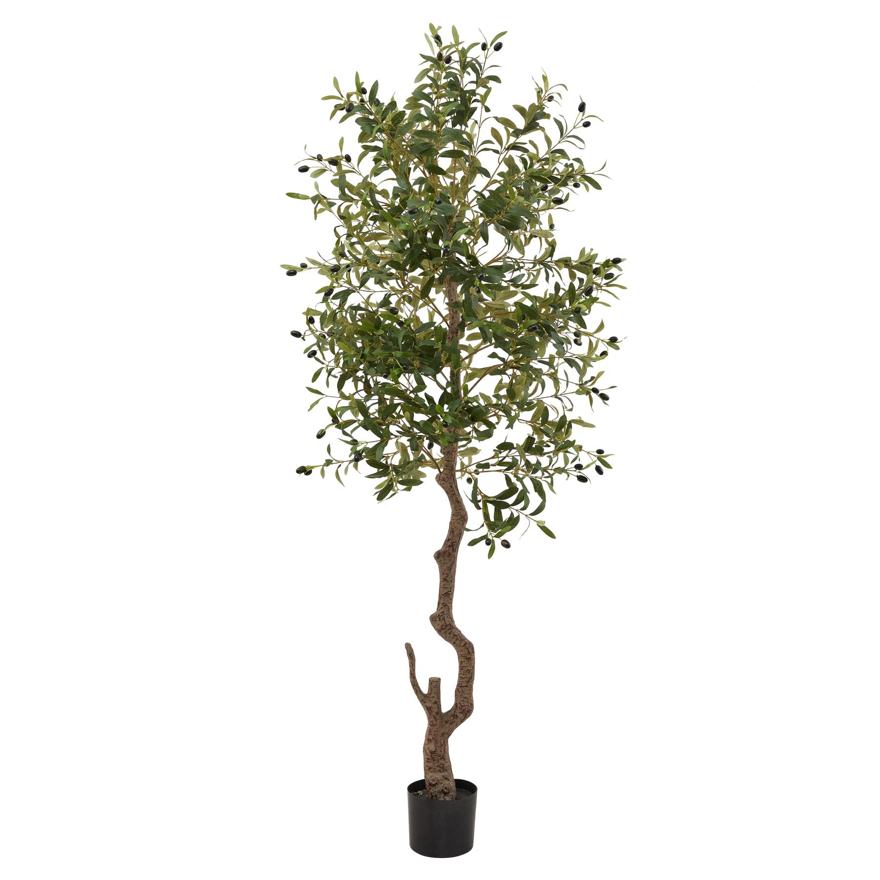 Calabria Large Plastic Tree - Olive For Hill Interiors - HIL-23081